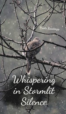 Whispering in Stormlit Silence 1