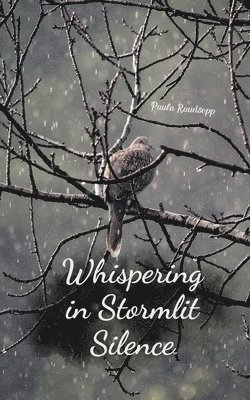 bokomslag Whispering in Stormlit Silence