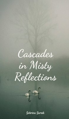 Cascades in Misty Reflections 1