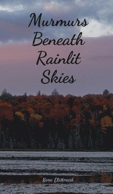 Murmurs Beneath Rainlit Skies 1