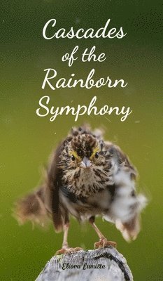 Cascades of the Rainborn Symphony 1