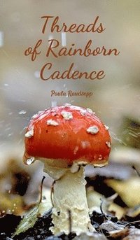 bokomslag Threads of Rainborn Cadence