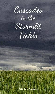 Cascades in the Stormlit Fields 1