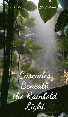 Cascades Beneath the Rainfold Light 1