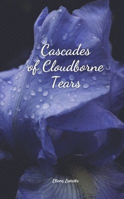 bokomslag Cascades of Cloudborne Tears