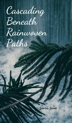 Cascading Beneath Rainwoven Paths 1