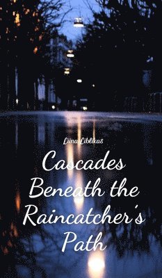 Cascades Beneath the Raincatcher's Path 1