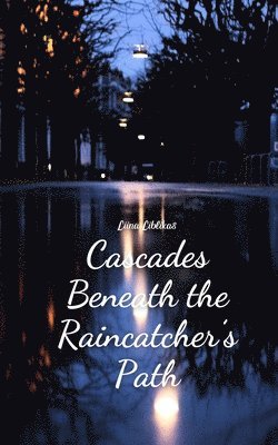 Cascades Beneath the Raincatcher's Path 1