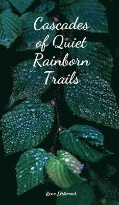 Cascades of Quiet Rainborn Trails 1