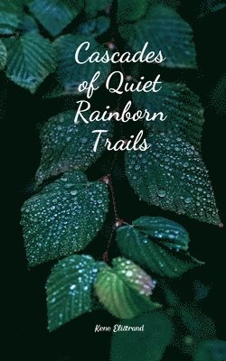 Cascades of Quiet Rainborn Trails 1