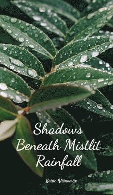 Shadows Beneath Mistlit Rainfall 1