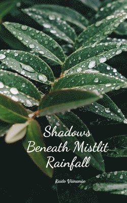 Shadows Beneath Mistlit Rainfall 1