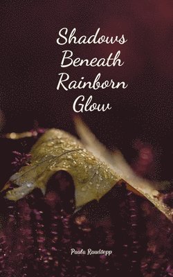 Shadows Beneath Rainborn Glow 1