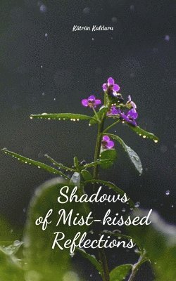 Shadows of Mist-kissed Reflections 1