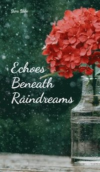 bokomslag Echoes Beneath Raindreams