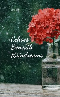 bokomslag Echoes Beneath Raindreams