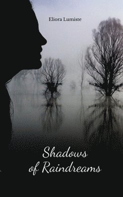 Shadows of Raindreams 1