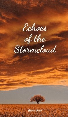 Echoes of the Stormcloud 1