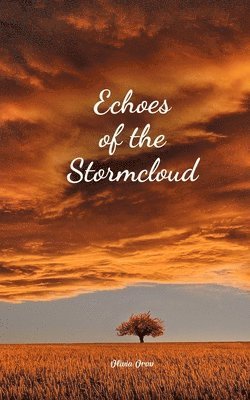 Echoes of the Stormcloud 1