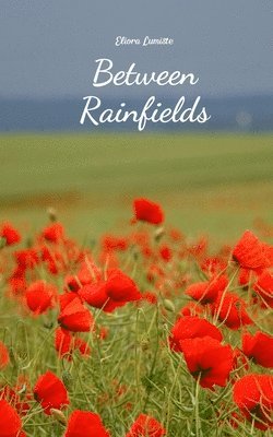 Between Rainfields 1