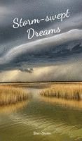 Storm-swept Dreams 1