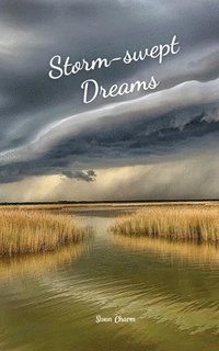 bokomslag Storm-swept Dreams