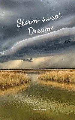 bokomslag Storm-swept Dreams