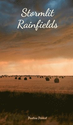 Stormlit Rainfields 1