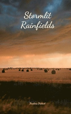 bokomslag Stormlit Rainfields