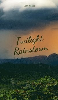 bokomslag Twilight Rainstorm