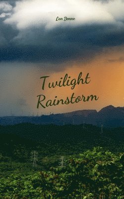 bokomslag Twilight Rainstorm