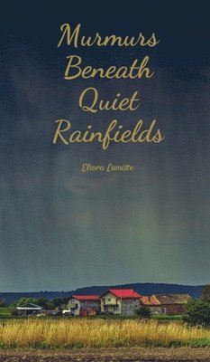 Murmurs Beneath Quiet Rainfields 1