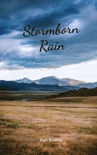 bokomslag Stormborn Rain