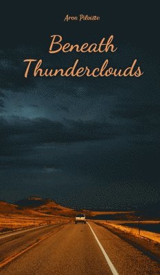 Beneath Thunderclouds 1