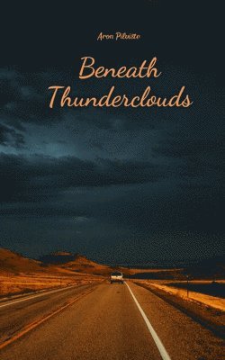 Beneath Thunderclouds 1