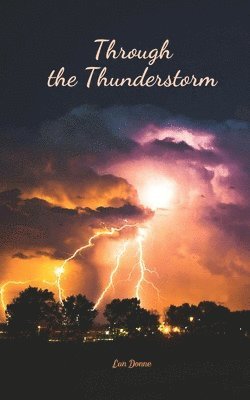 Through the Thunderstorm 1