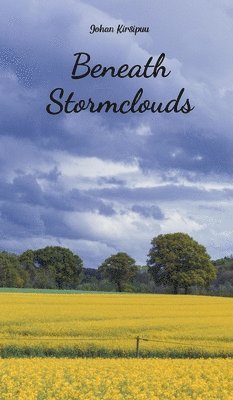 Beneath Stormclouds 1