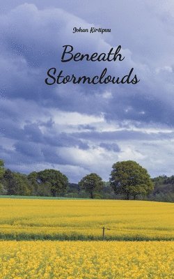 Beneath Stormclouds 1