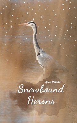 Snowbound Herons 1