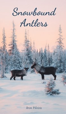 Snowbound Antlers 1