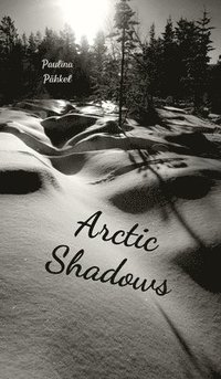 bokomslag Arctic Shadows