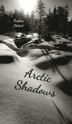 Arctic Shadows 1