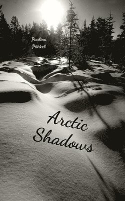 bokomslag Arctic Shadows