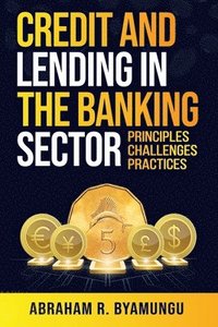 bokomslag Credit and Lending in the Banking Sector