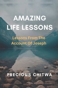 bokomslag Amazing Life Lessons