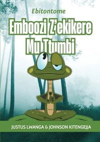 bokomslag Emboozi Z'ekikere Mu Ttumbi