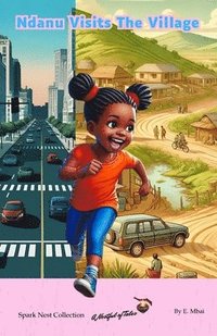 bokomslag Ndanu Visits The Village