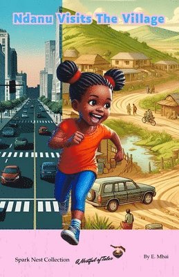 bokomslag Ndanu Visits The Village