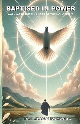 bokomslag Baptised in Power