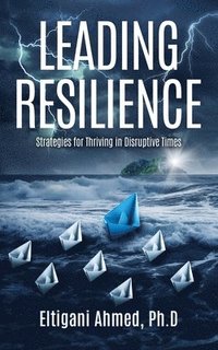 bokomslag Leading Resilience
